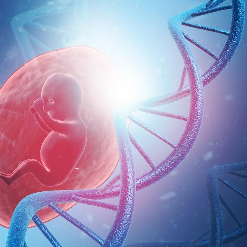 Anne karnındaki bir bebek ve DNA modeli görüntüsü