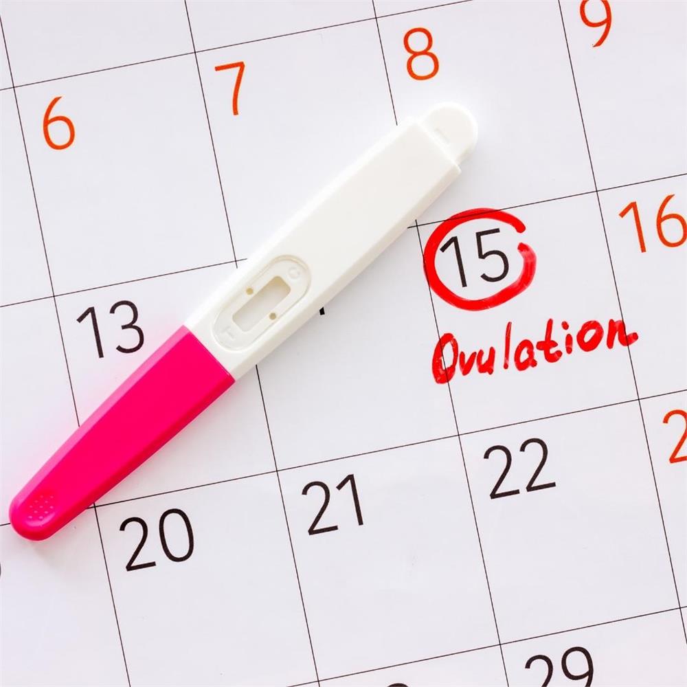 Ovulasyon testi, Yumurtlama günü kırmızı işaretli takvimde...