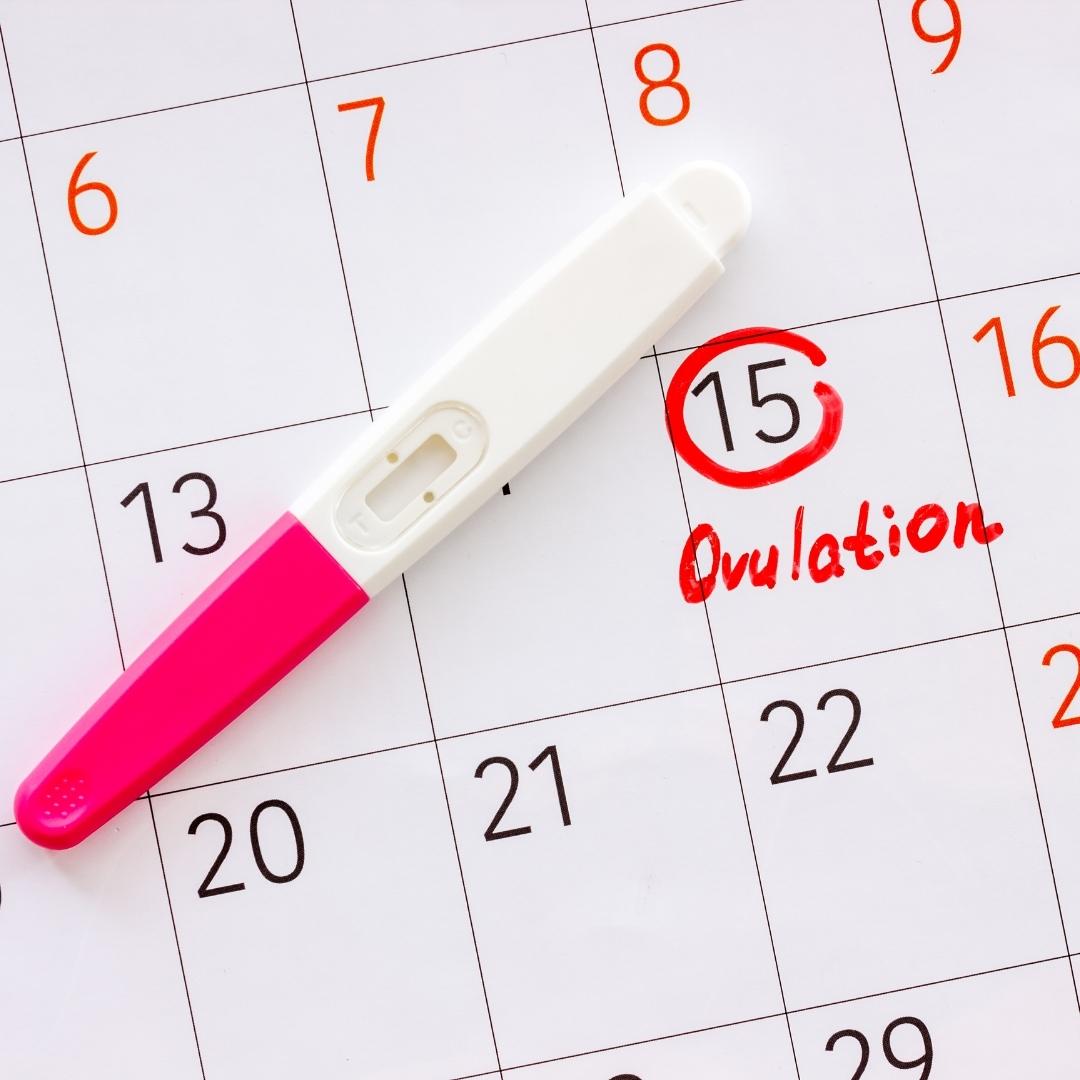 Ovulasyon Testi (Yumurtlama Testi) Nedir? Nasıl Yapılır?